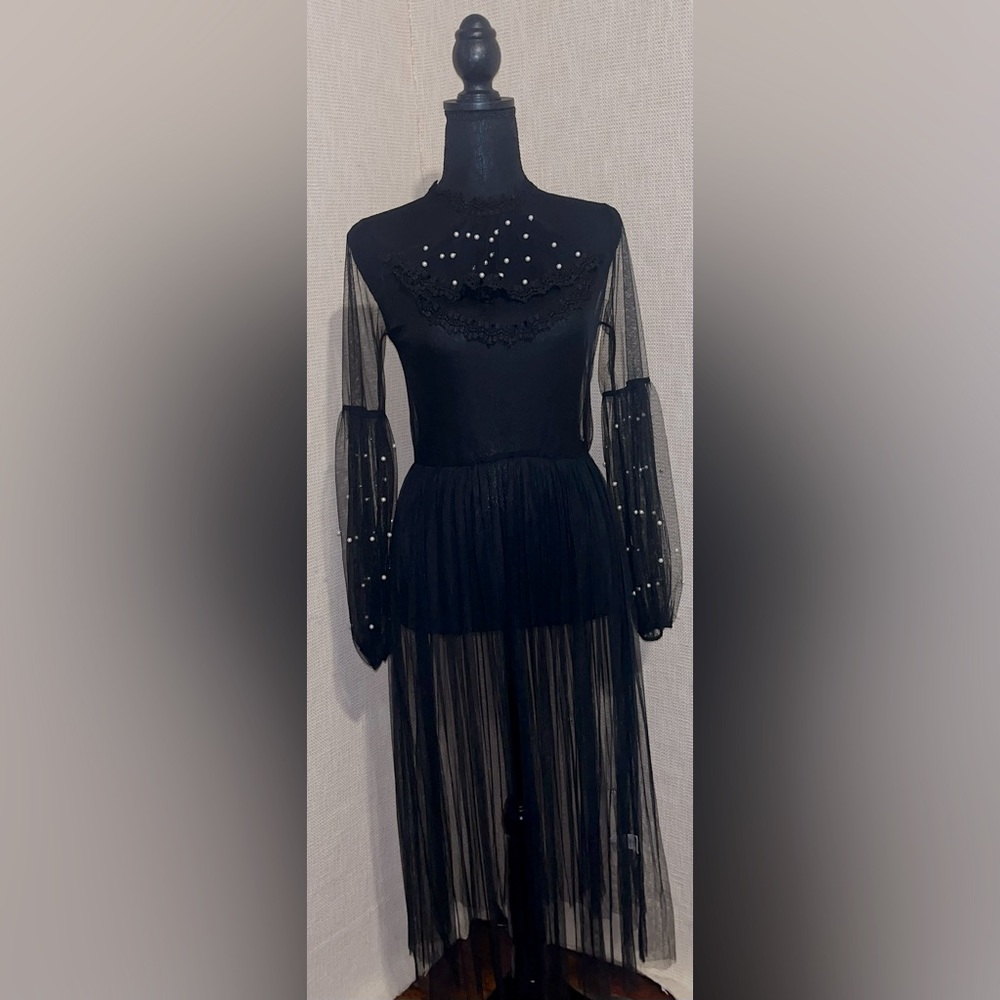 Black Sheer Dress w/ Pearl Bead on Sleeve and Neck